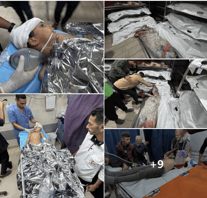 Libano Gaza Marchetti 700x671