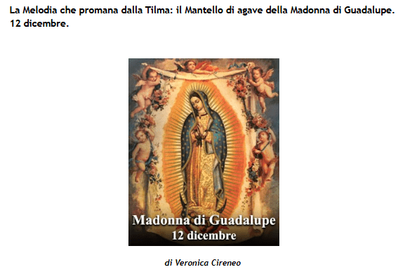 alleati, tilma, guadalupe