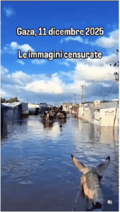 gaza allagata