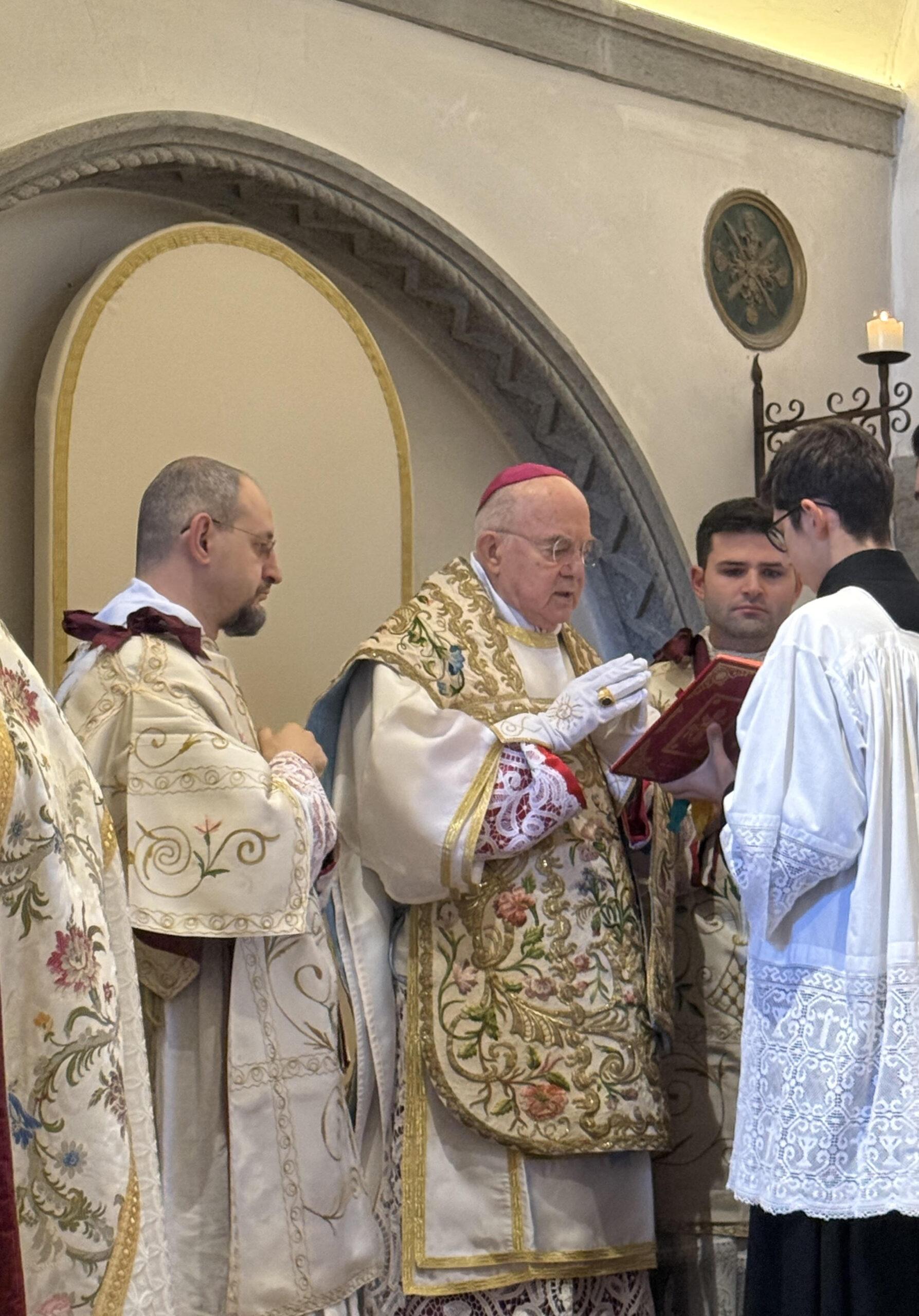 viganò immacolata