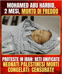 gaza nenonati morti freddo