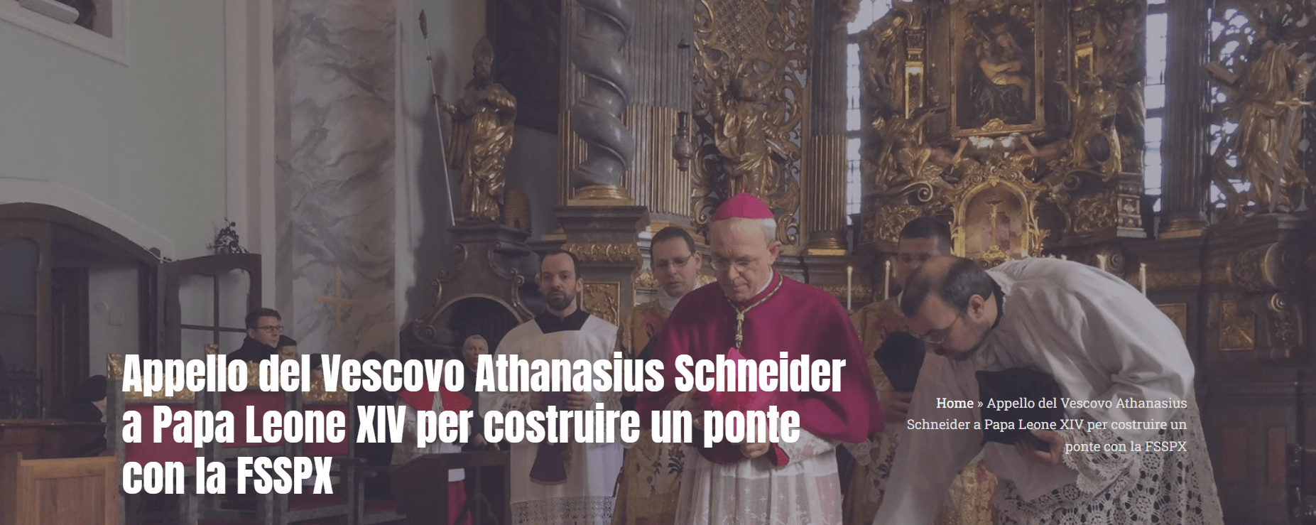 schneider, leone fsspx
