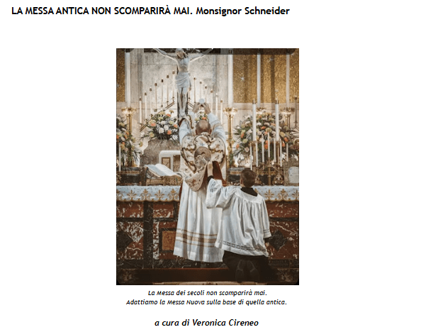 alleati, schneider