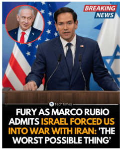 rubio guerra