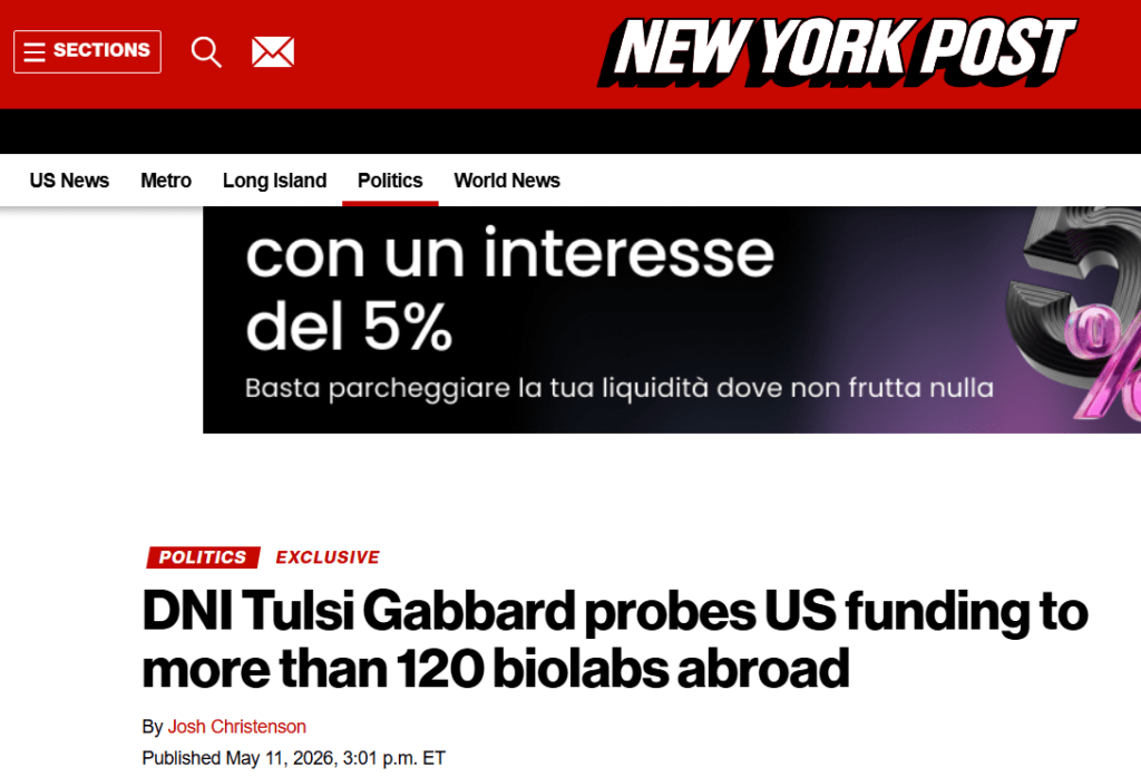 new york post gabbard